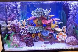 Design Colorful Custom Aquariums Freshwater Fake Coral Reef Tanks