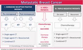 triple negative breast cancer (tnbc) is an aggressive breast cancer with historically poor outcomes, primarily due to the lack of effective targeted therapies. Defining The Optimal Sequence For The Systemic Treatment Of Metastatic Breast Cancer Springerlink
