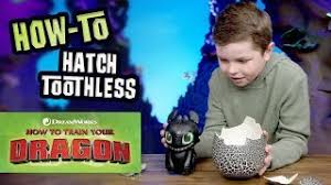 However as many of you know i am a dragon fan and spin master is making how to train your dragon 2 toys! How To Train Your Dragon How To Play With Toothless Youtube