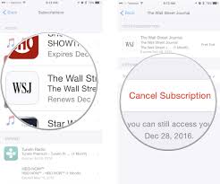 Use your apple watch to cancel subscriptions. How To Cancel Subscription From An App On Iphone Or App Store Maple Labs Going For Great