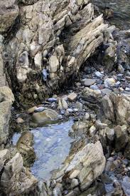 tide pools of little corona del mar california through my lens