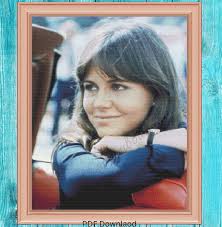 Sally Field Count Cross Stitch. Large Cross Stitch. Pattern Keeper/markup  Compatible. DMC Threads. PDF Download Pattern/charts. Needlepoint