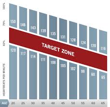 Cardio Trek Toronto Personal Trainer Heart Rate Targeting