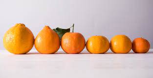 (this patch should only be used with previous clementine installations. Know Your Mandarins Nugget Markets Daily Dish