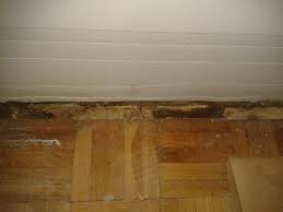 Silikonfuge nicht mehr ganz dicht schimmelberatung hannover. Wohnzimmer Schimmel Unter Balkontuer Mit Silberfischchen Balkon