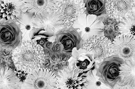 Conversion to black and white. Vintage Black And White Flowers Collage Background Stock Photo Picture And Royalty Free Image Image 54976163