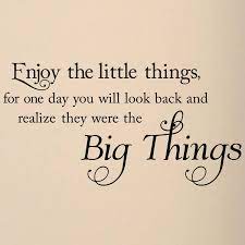 The two most important days in your life are the day you are born and the day you find out why. Enjoy The Little Things In Life Little Things Quotes Quotes Words
