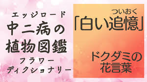 中二病の植物図鑑 英語の名前がかっこいい花 植物 花言葉 80種 創作に使えるかもしれない用語集