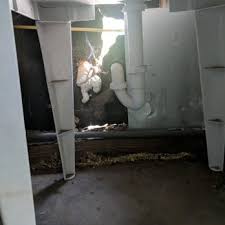 Pest control professionals in los angeles, ca. Accuracy Plus Termite Pest Control 34 Photos 17 Reviews Pest Control 11400 W Olympic Blvd Los Angeles Ca Phone Number