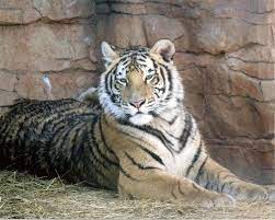 Eau Claire Wi Zoo 318 Acre Public Park Zoo Picturesque Glen Loch Dam Picnic Areas Tennis Courts Hiking Cross Country Skiin Irvine Park Picnic Area Park