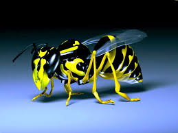 Image result for digital art desktop wallpaper