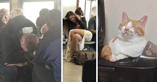 1,118 likes · 1 was here. Da Udobno Ot Prepodobnyj Stasyan Za 05 Maya 2019 Na Fishki Net