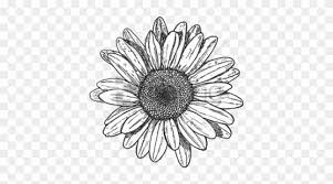 Free Png Sunflower Png Tumblr Png Images Transparent Flower Drawing Transparent Background Clipart 1837014 Pikpng Pin amazing png images that you like. free png sunflower png tumblr png