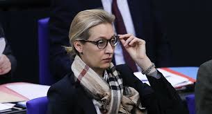 Having her as a leader for the afd attenuates their image, for example of the party being homophobic, so it even works as a justification of the party's statements. Trump Isn T A Madman Does A Lot Right For The Us Afd Bundestag Leader Sputnik International