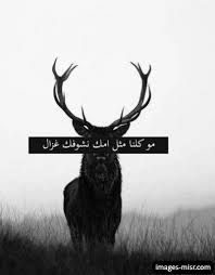 صور خلفيات مكتوب عليها كلام قديم وحكيم مصري عن الحياة word art moose art illustration design
