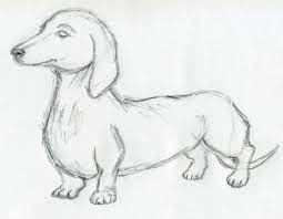 Then shade with a pencil under its eyes and around the mouth. Easy Pencil Drawings Images Pencil Drawing Images Animal Drawings Dog Sketch