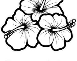 Hibiscus Flower Outline Png Transparent Cartoon Jing Fm Download 301 hibiscus cliparts for free. hibiscus flower outline png