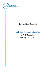 Winter Plenary Meeting