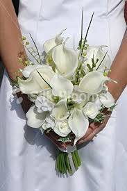 Check out our freesia wedding selection for the very best in unique or custom, handmade pieces did you scroll all this way to get facts about freesia wedding? Amazon Com Silk Blooms Ltd Elegant Ivory Calla Lily Rose Freesia Bridal Wedding Bouquet Home Kitchen