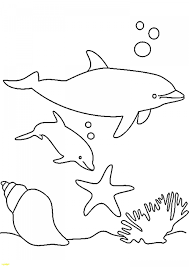 Delfin Bilder Zum Ausmalen Wohndesign Ideen