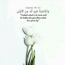 Pin On Islamic Quotes