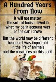  56 Animal Rescue Quotes Sayings Ideas Rescue Quotes Animal Rescue Animal Rescue Quotes