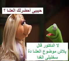 هههههههههههههههههههههههه Arabic Funny Jokes Sarcastic Humor