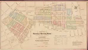 1899: The New York Cat Who Fell to Earth