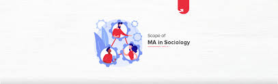 What can i do with a masters in sociology. Scope Of Ma In Sociology Career Opportunities Top Job Roles 2021 Upgrad Blog