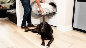 How to Clean a Dog Bed and Other Pet Supplies | BeChewy