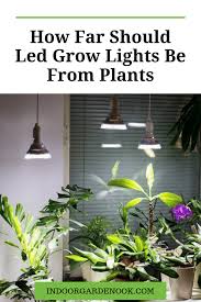 Spitzenpreis & neutraler blitzversand garantiert. It S Essential To Know How Far Should Led Grow Lights Be From Plants Or For How Long To Keep T Led Grow Lights Plants Grow Lights For Plants Indoor Grow Lights