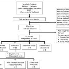 flowchart of literature search and selection process pph