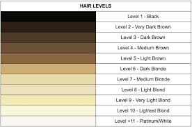 An Introduction To Hair Levels And Tones Finding Your