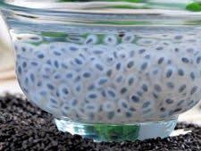 Ceaiul se bea cald, neindulcit sau indulcit cu un varf de lingurita de miere de albine. Beneficii Ceai Busuioc