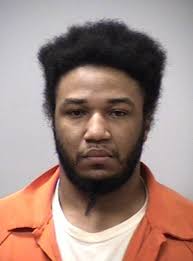 Lansing Police need help in assault, larceny case