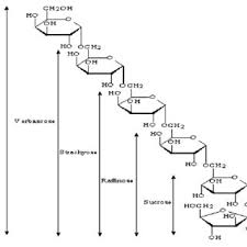 Image result for Vigna racemosa