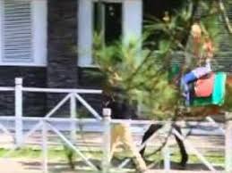 Meski tak lagi tempatku dihatimu. Parodi Dubbing Bukan Kerana Aku Tak Cinta Video Phoneky