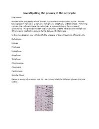 Here below is a backbone of this lab report. Onion Mitosis Lab Worksheets Teaching Resources Tpt