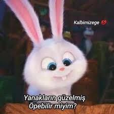 Esraa Adli Kullanicinin Komik Sozler Panosundaki Pin 2020 Komik Seyler Komik Kizlar Komik Capsler