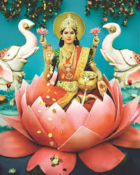 Schrodinger's Catfish at San Antonio's Overtime Theater wryly questions  reality