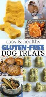 12 Gluten Free Dog Treats Recipes Pet Coupon Savings Gluten Free Dog Treats Grain Free Dog Treats Recipes Gluten Free Dog Treat Recipes