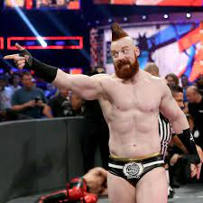 Pin On Wwe
