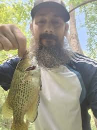 Identify minnows caught in northwest Tennessee creek?