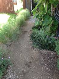 We did not find results for: How To Build A Stable Pea Gravel Path Lush Landscapes For Tough Climates