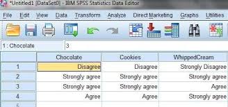 Spss Screenshot Showing Responses To Likert Type Items Numerical Expression Social Share Buttons How Are You Feeling