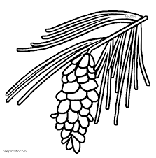 34+ pine tree coloring pages for printing and coloring. Michigan State White Pine Tree Coloring Page Free Image Download