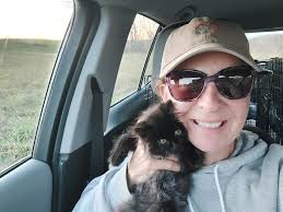 Long Beach , CA 📍 Meet Anna and Elsa 💕 Elsa is a long hair grey and white  tabby who has a strong purr machine that loves love is playful loves snacks