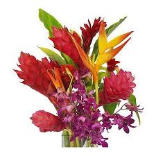 Check spelling or type a new query. Hawaiian Flowers Tropical Bouquets Blooms Of Hawaii