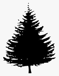 Maybe you would like to learn more about one of these? Pine Tree Silhouette Png Png Download Pine Tree Silhouette Black Transparent Png Transparent Png Image Pngitem