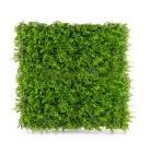 4 pcs Mix Fern 20